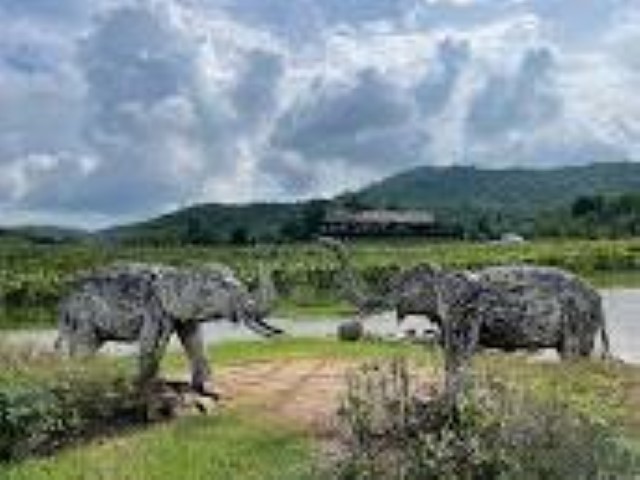 อุทยานแห่งชาติกุยบุรี / Kui Buri National Park